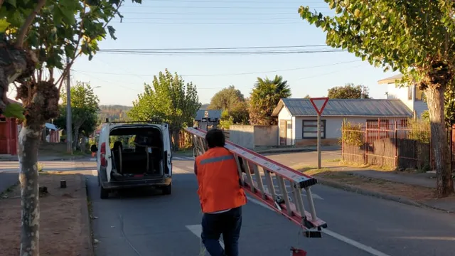Técnico en terreno